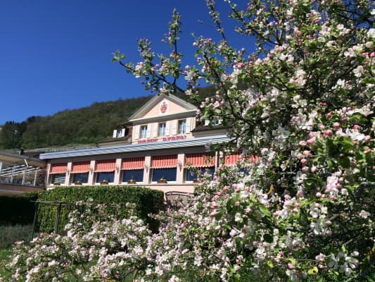 Hotel Bären Twann